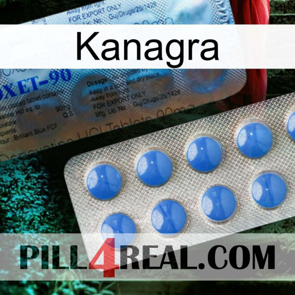 Kanagra 40.jpg